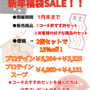 🐎新年福袋ＳＡＩＬ🐎